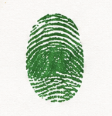 The fingerprint signature