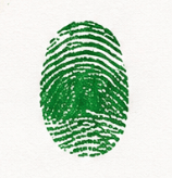 The fingerprint signature